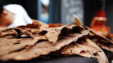 Condenan a cinco personas a hasta 5 años de prisión por contrabando de tabaco en Navarra