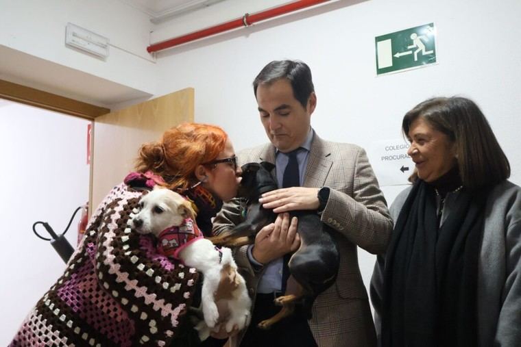 Andalucía lanza un programa con perros para apoyar a víctimas en los juzgados