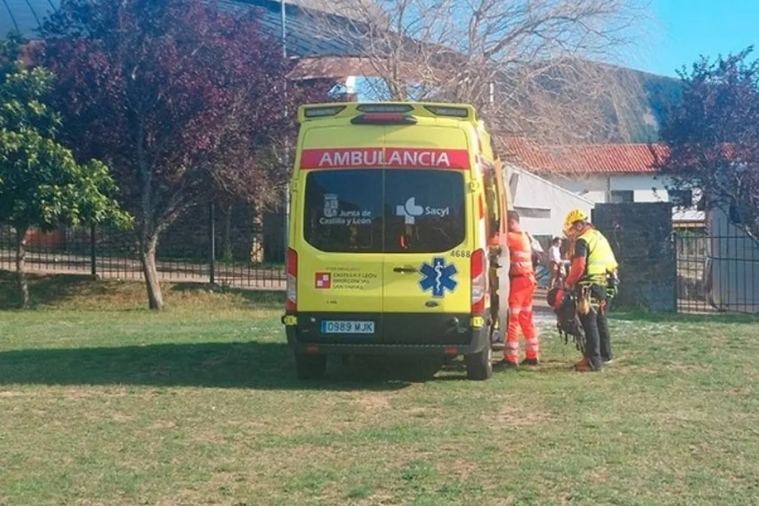 Misterio en la granja: Cómo pudo un hombre quedar atrapado bajo toneladas de estiércol